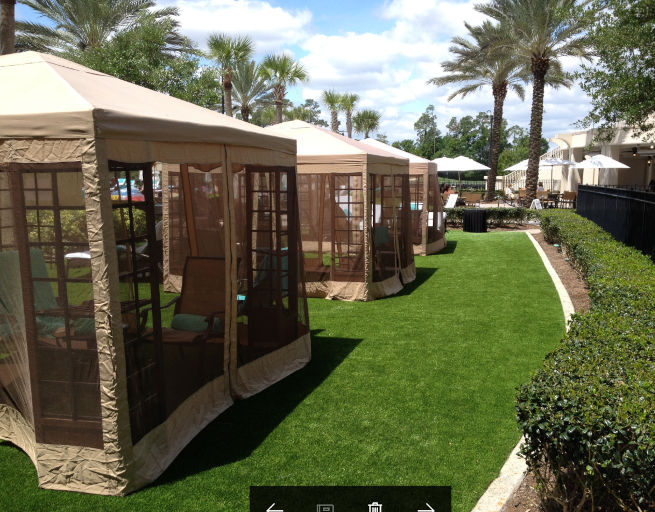 Tucson commercial landscape turf